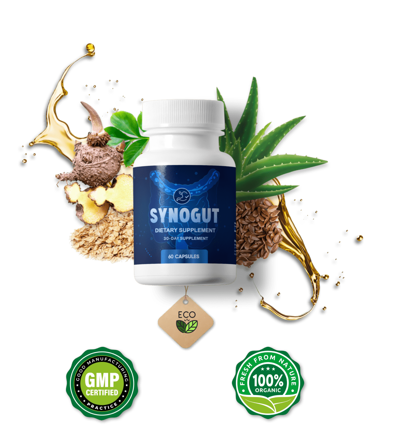 Synogut  Buy Now 