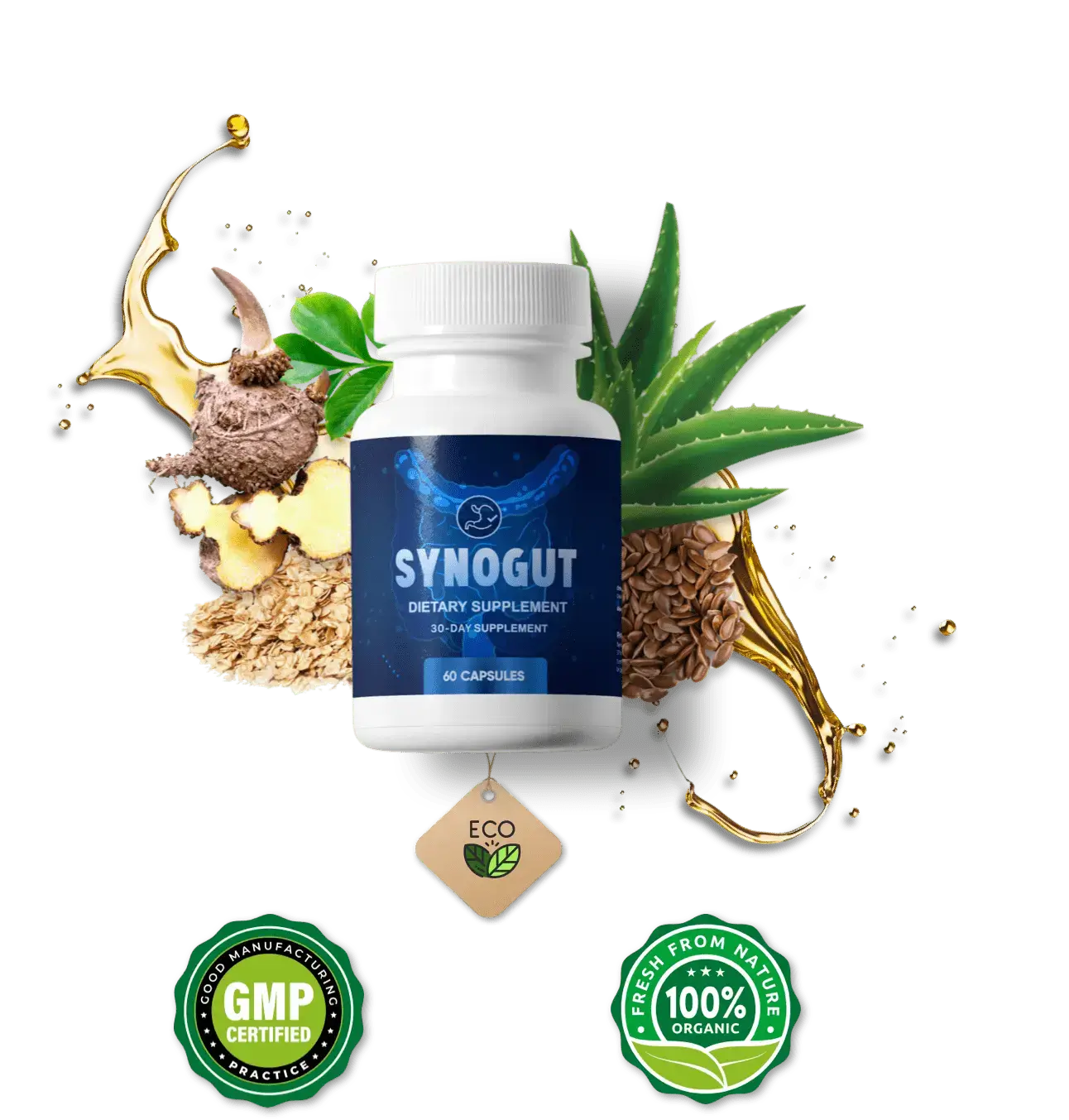 SynoGut Buy Now